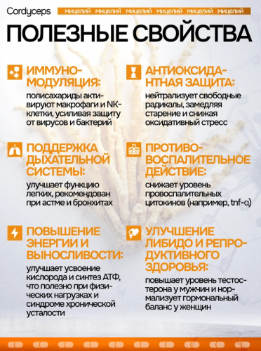 erty.photo} фото 3