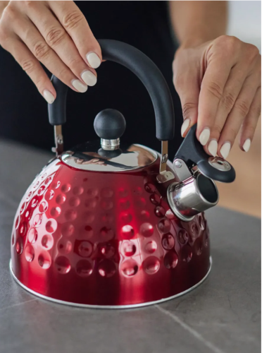 Чайник для плиты со свистком 2л металлический стальной нержевейа красный фото 7