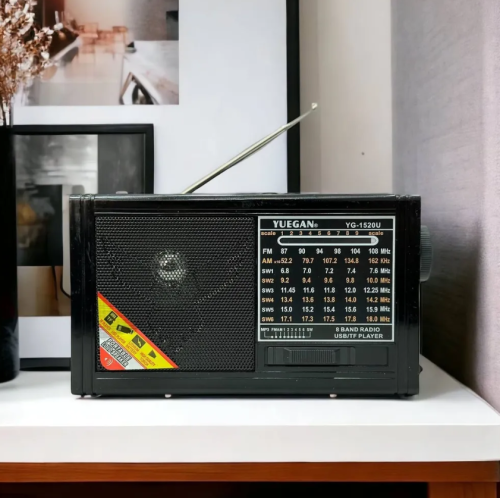 Радиоприемник аккумуляторный с флэшкой Yuegan черный фото 2