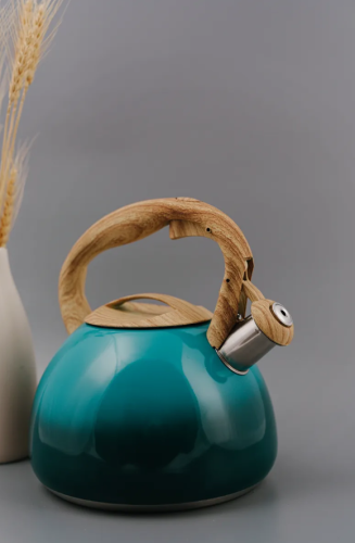 Чайник для плиты со свистком из нержавеющей стали 2,7 литра Изумрудный фото 4
