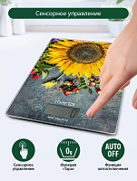 Весы кухонные с термометром, max 10 кг