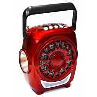 Радиоприемник RRS, RS-607U, фонарик,FM, USB, MP3, SD-карта, встроенный аккумулятор