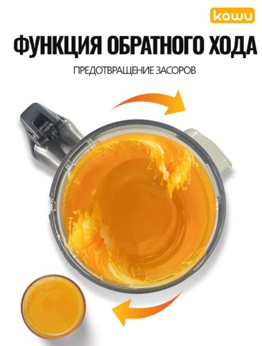 Соковыжималка шнековая KAWU SJ-019, светло-бежевый фото 8