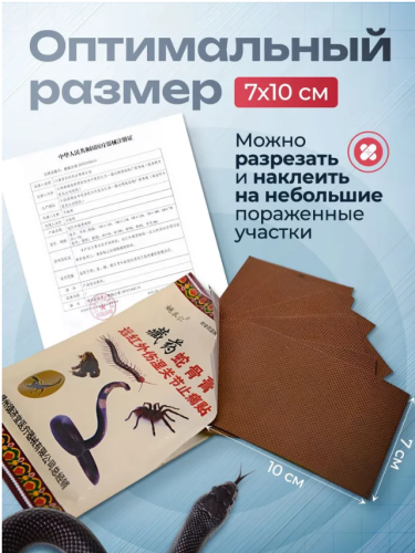 erty.photo} фото 4