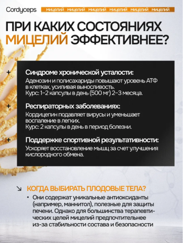 erty.photo} фото 6